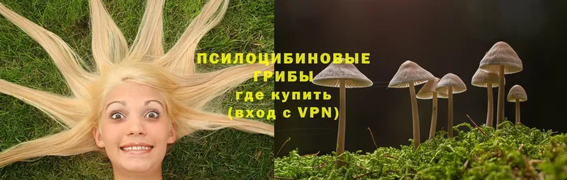 Псилоцибиновые грибы MAGIC MUSHROOMS  МЕГА ссылка  Прохладный  наркошоп 